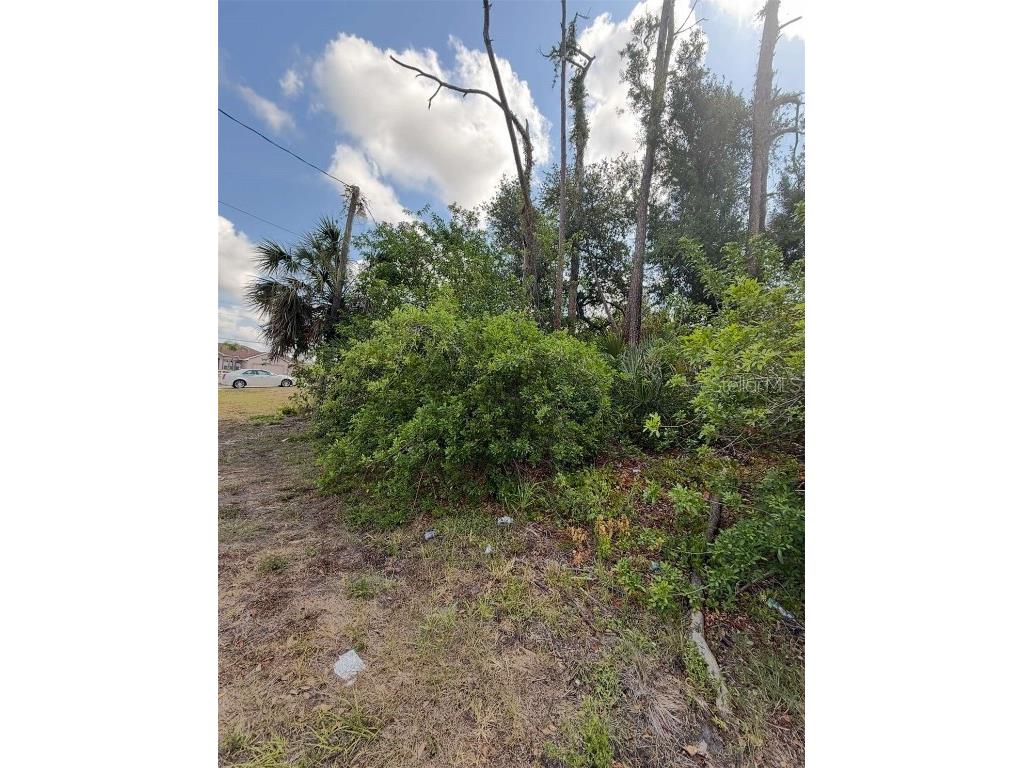 17285 Malta Avenue Port Charlotte FL 33954 A4655927 image3