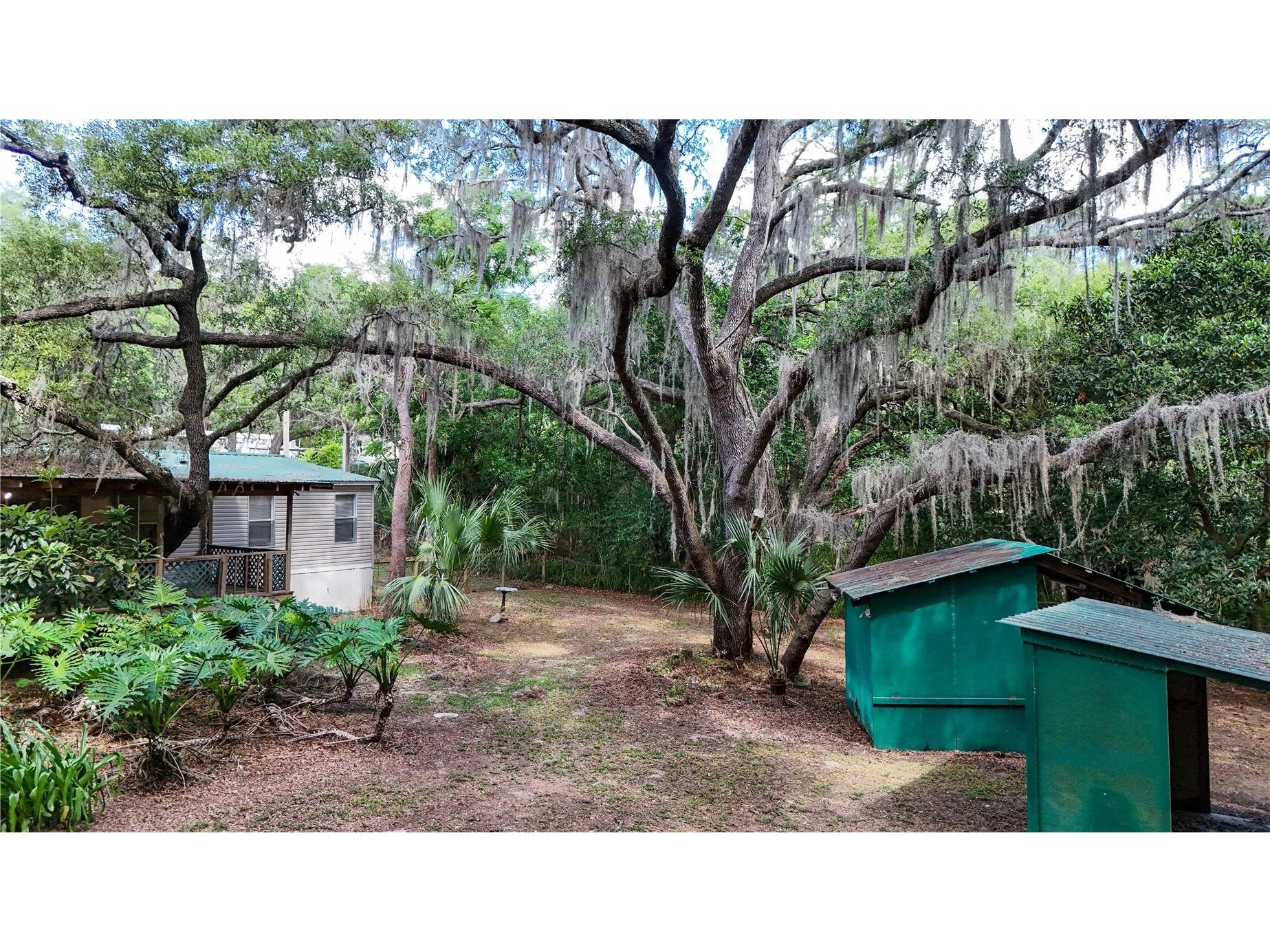 17285 SE 248th Terrace Umatilla FL 32784 G5111347 image27