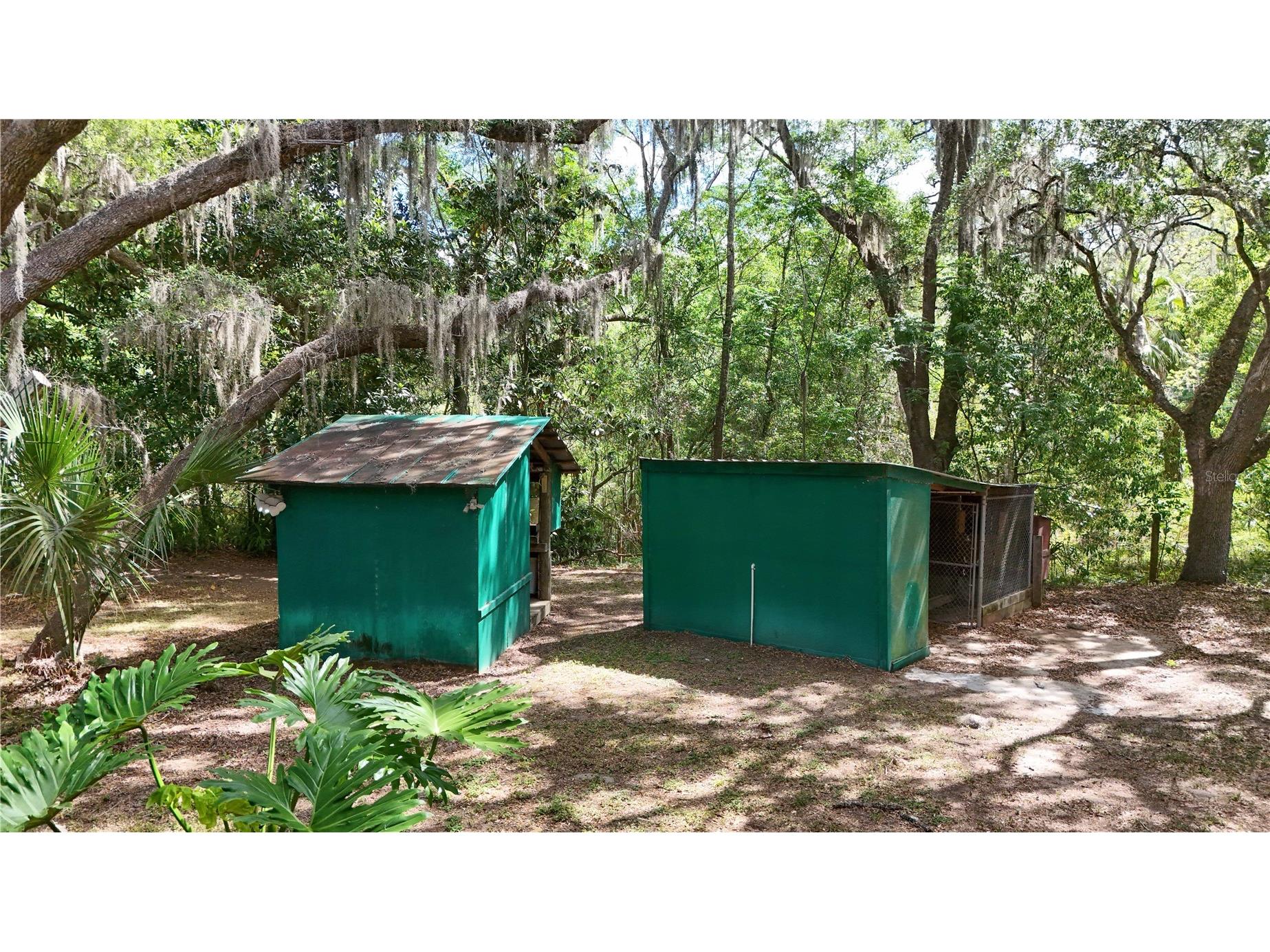 17285 SE 248th Terrace Umatilla FL 32784 G5111347 image30
