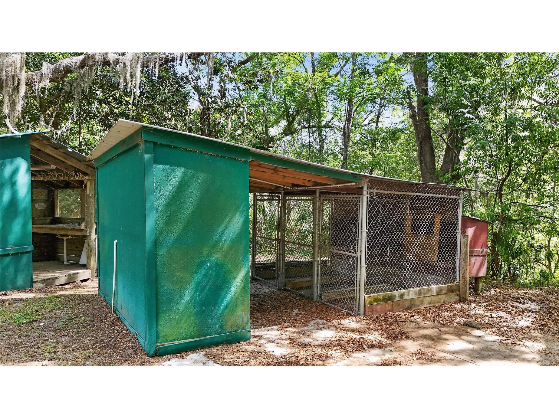 17285 SE 248th Terrace Umatilla FL 32784 G5111347 image31
