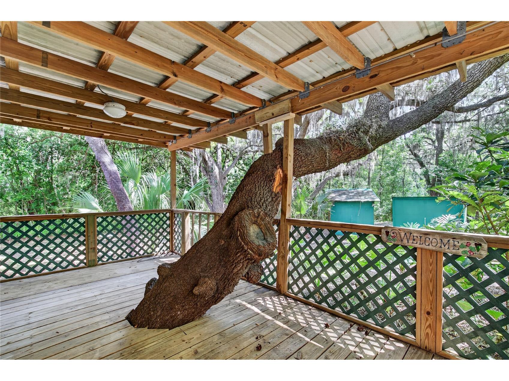 17285 SE 248th Terrace Umatilla FL 32784 G5111347 image8