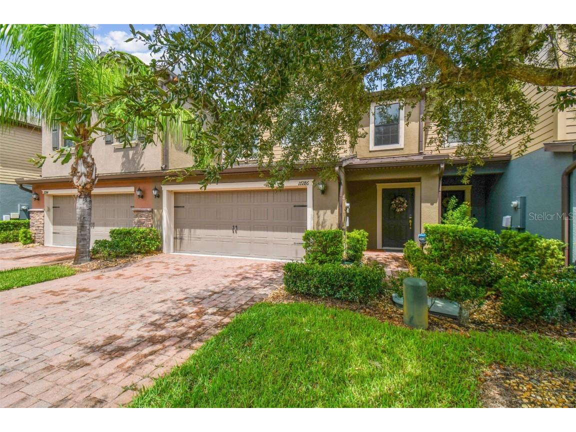 17286 Old Tobacco Road Lutz FL 33558 T3469629 image1