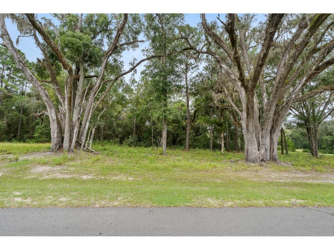 17287 SW 11 Court Newberry FL 32669 GC524786 image4