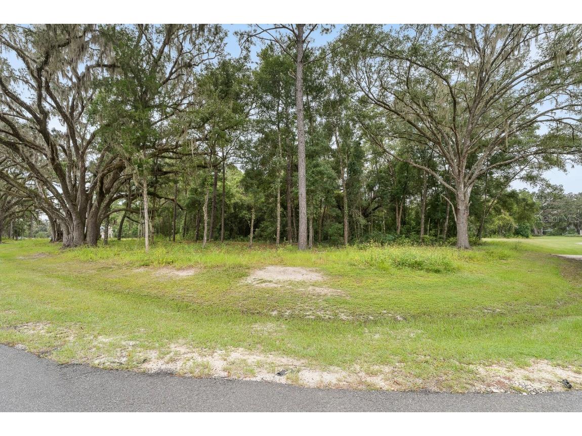 17287 SW 11 Court Newberry FL 32669 GC524786 image5