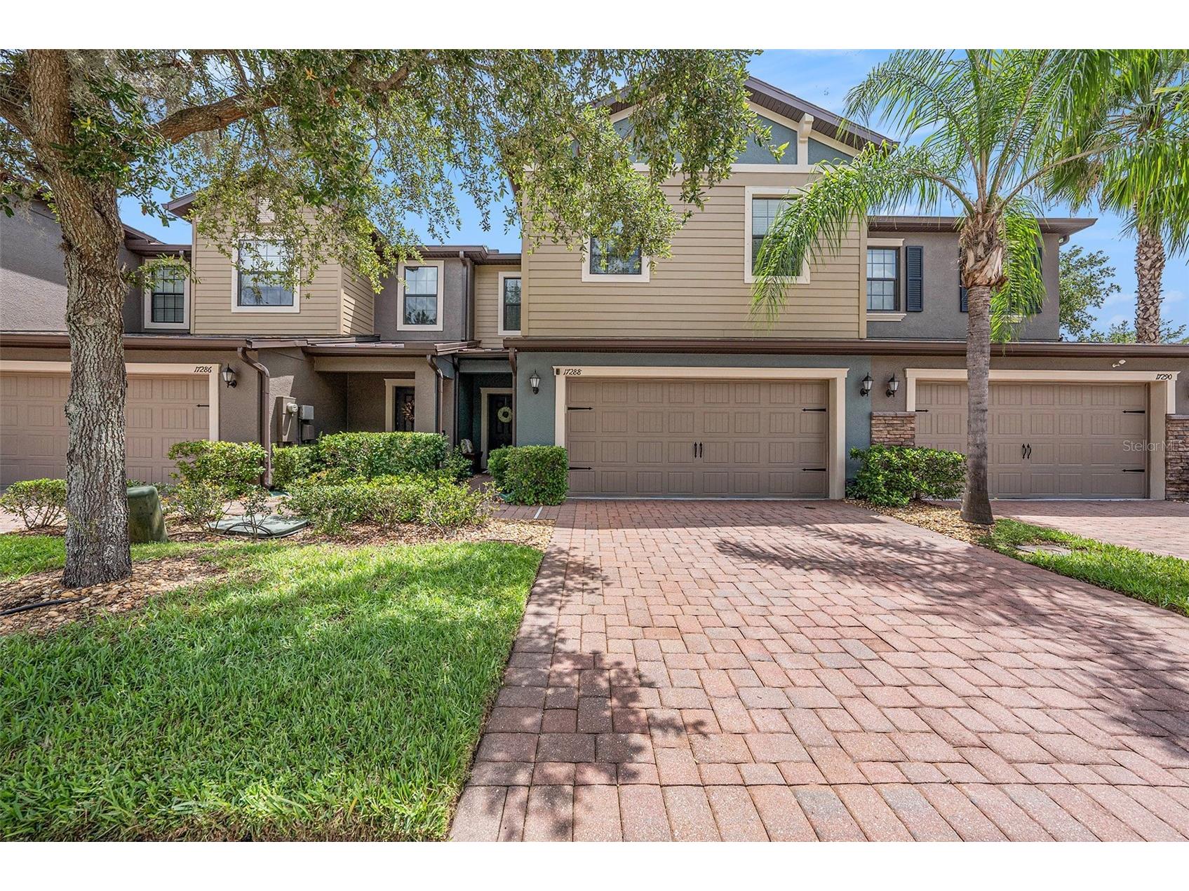 17288 Old Tobacco Road Lutz FL 33558 TB8459892 image1