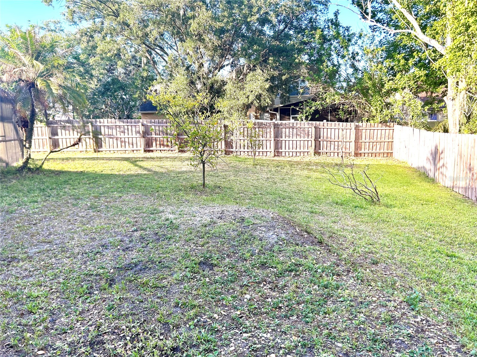 1729 Buckhorn Place Orlando FL 32825 O6403515 image66