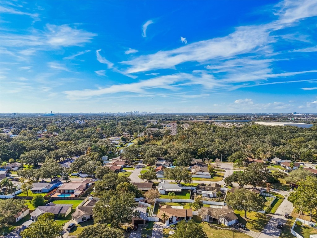 1729 Lake Crest Avenue Brandon FL 33510 TB8458474 image49