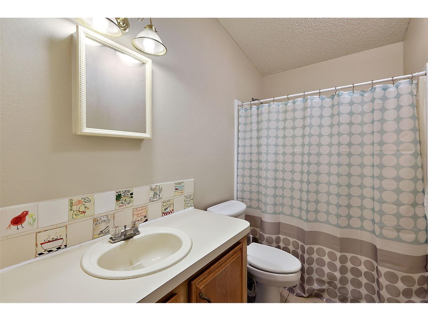 1729 Lauren Lane The Villages FL 32159 G5108642 image12