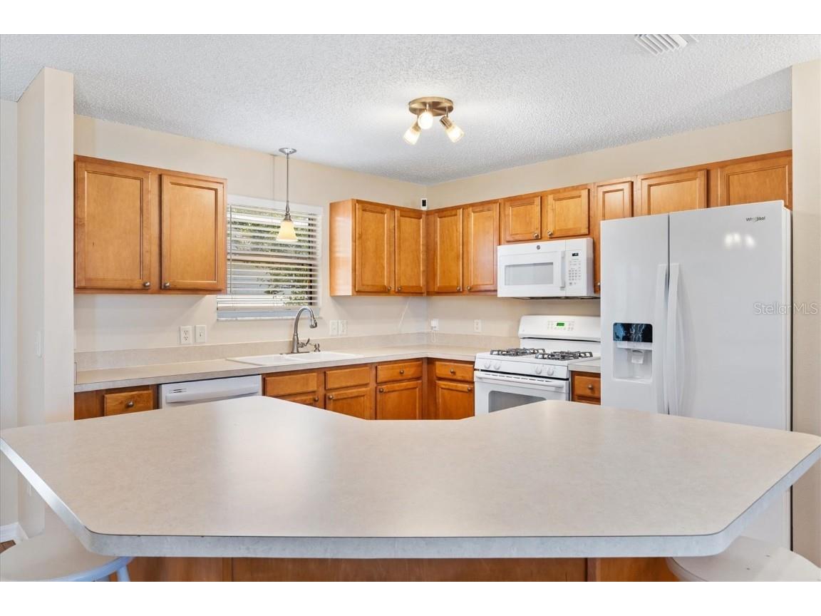 1729 Mountville Court The Villages FL 32162 G5105638 image10