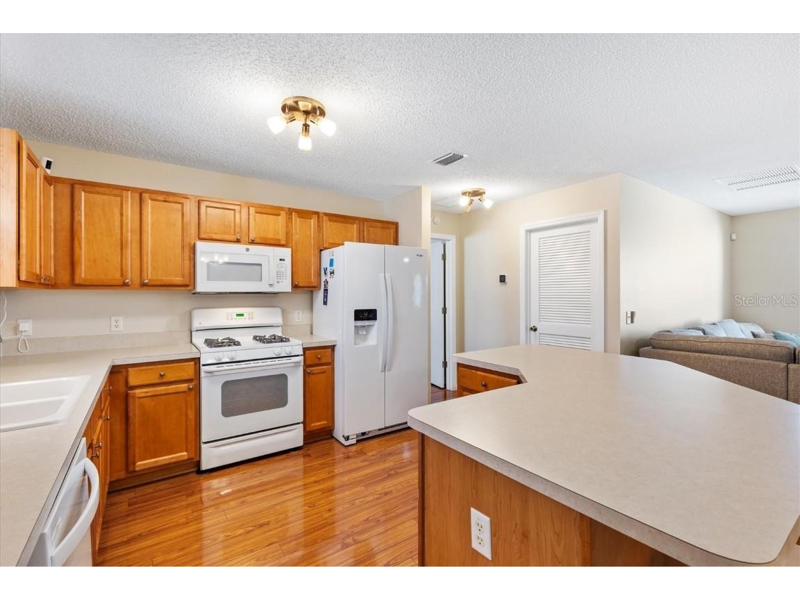 1729 Mountville Court The Villages FL 32162 G5105638 image11