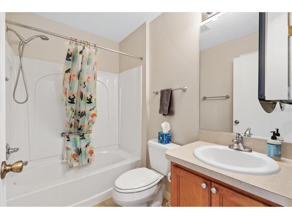 1729 Mountville Court The Villages FL 32162 G5105638 image19