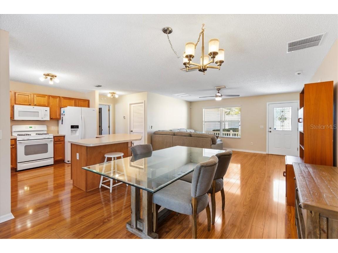 1729 Mountville Court The Villages FL 32162 G5105638 image9