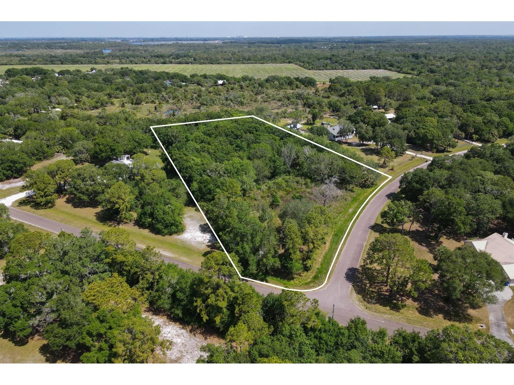 1729 Shenandoah Road Wimauma FL 33598 - LITTLE MANATEE RIVER A4691213 image1