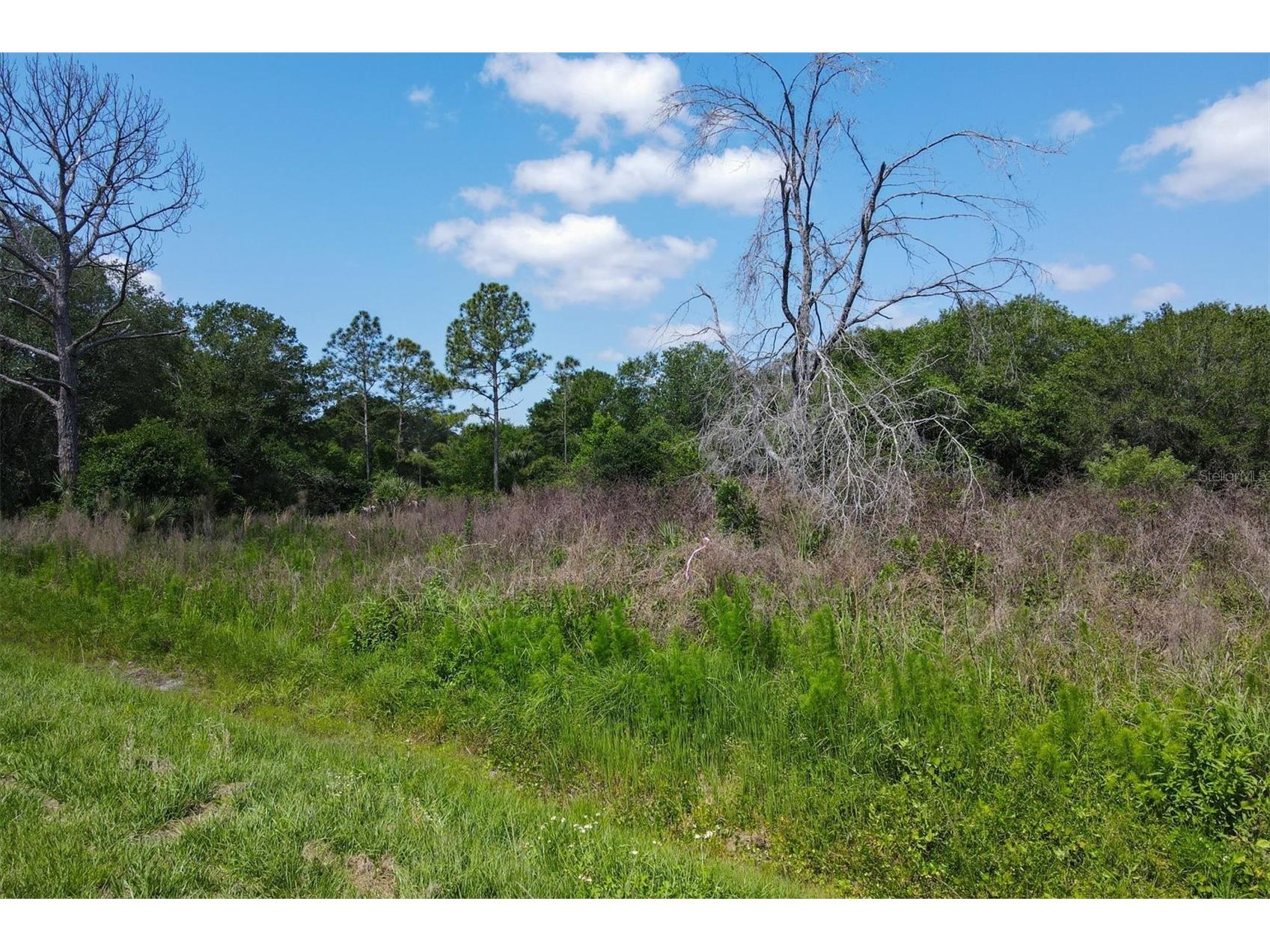 1729 Shenandoah Road Wimauma FL 33598 - LITTLE MANATEE RIVER A4691213 image14
