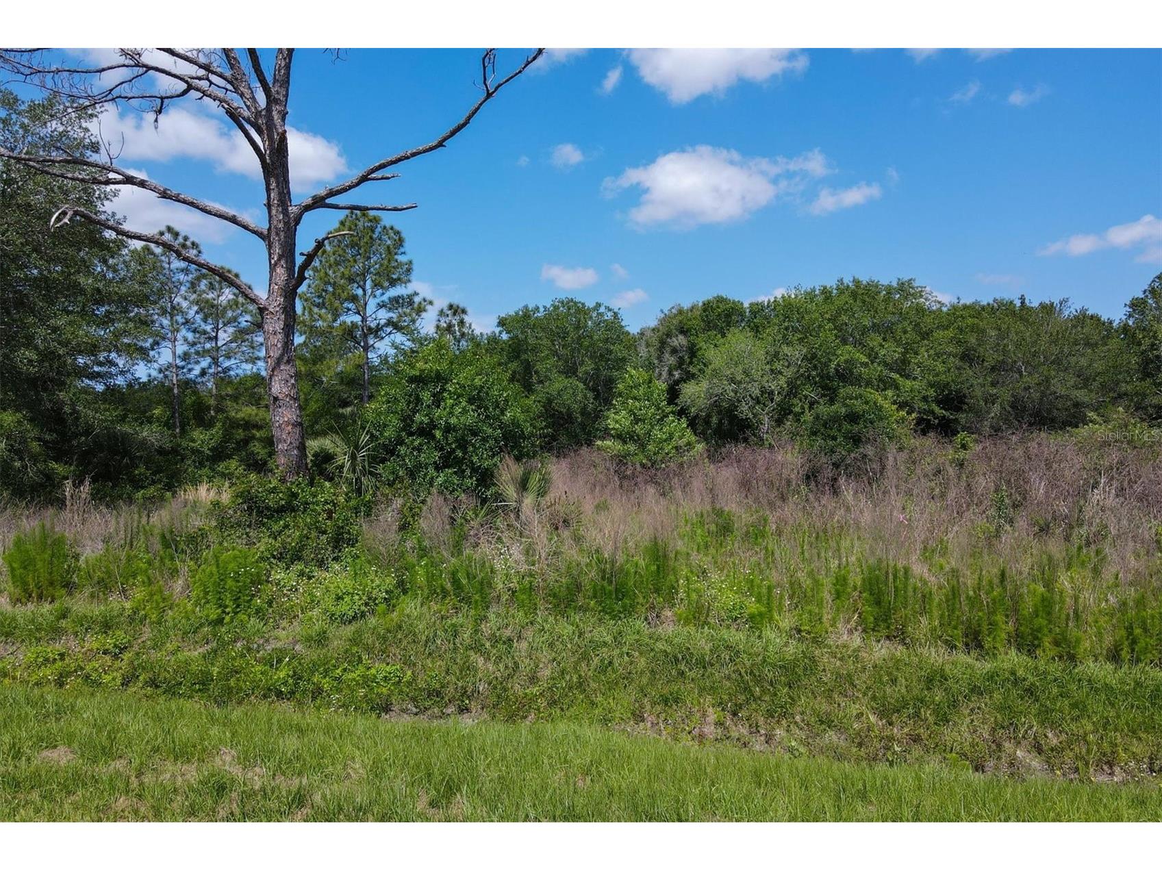1729 Shenandoah Road Wimauma FL 33598 - LITTLE MANATEE RIVER A4691213 image15
