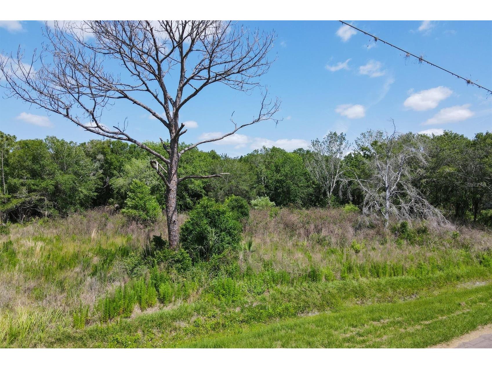 1729 Shenandoah Road Wimauma FL 33598 - LITTLE MANATEE RIVER A4691213 image17