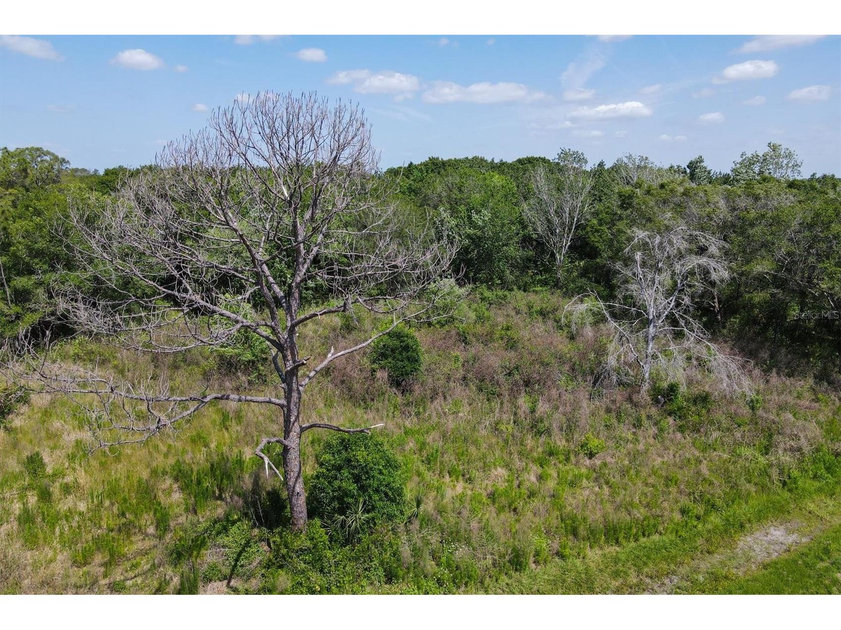 1729 Shenandoah Road Wimauma FL 33598 - LITTLE MANATEE RIVER A4691213 image18