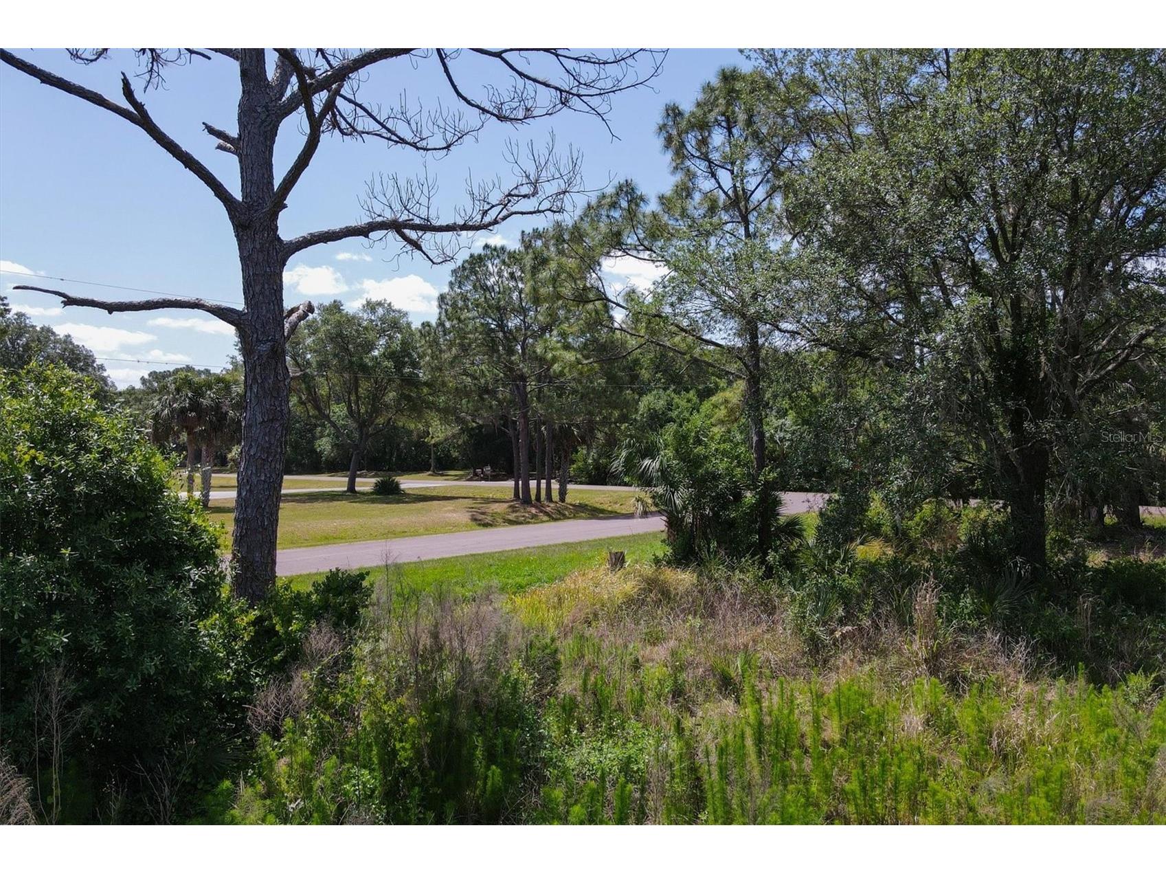 1729 Shenandoah Road Wimauma FL 33598 - LITTLE MANATEE RIVER A4691213 image19