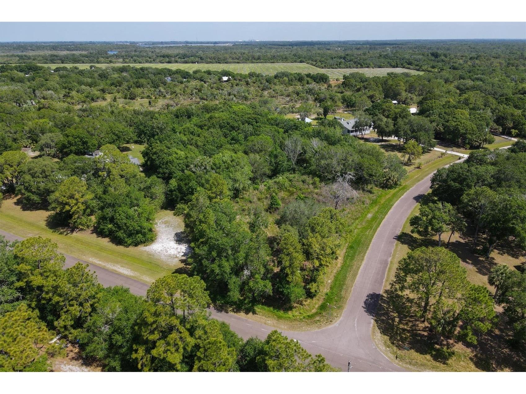 1729 Shenandoah Road Wimauma FL 33598 - LITTLE MANATEE RIVER A4691213 image2