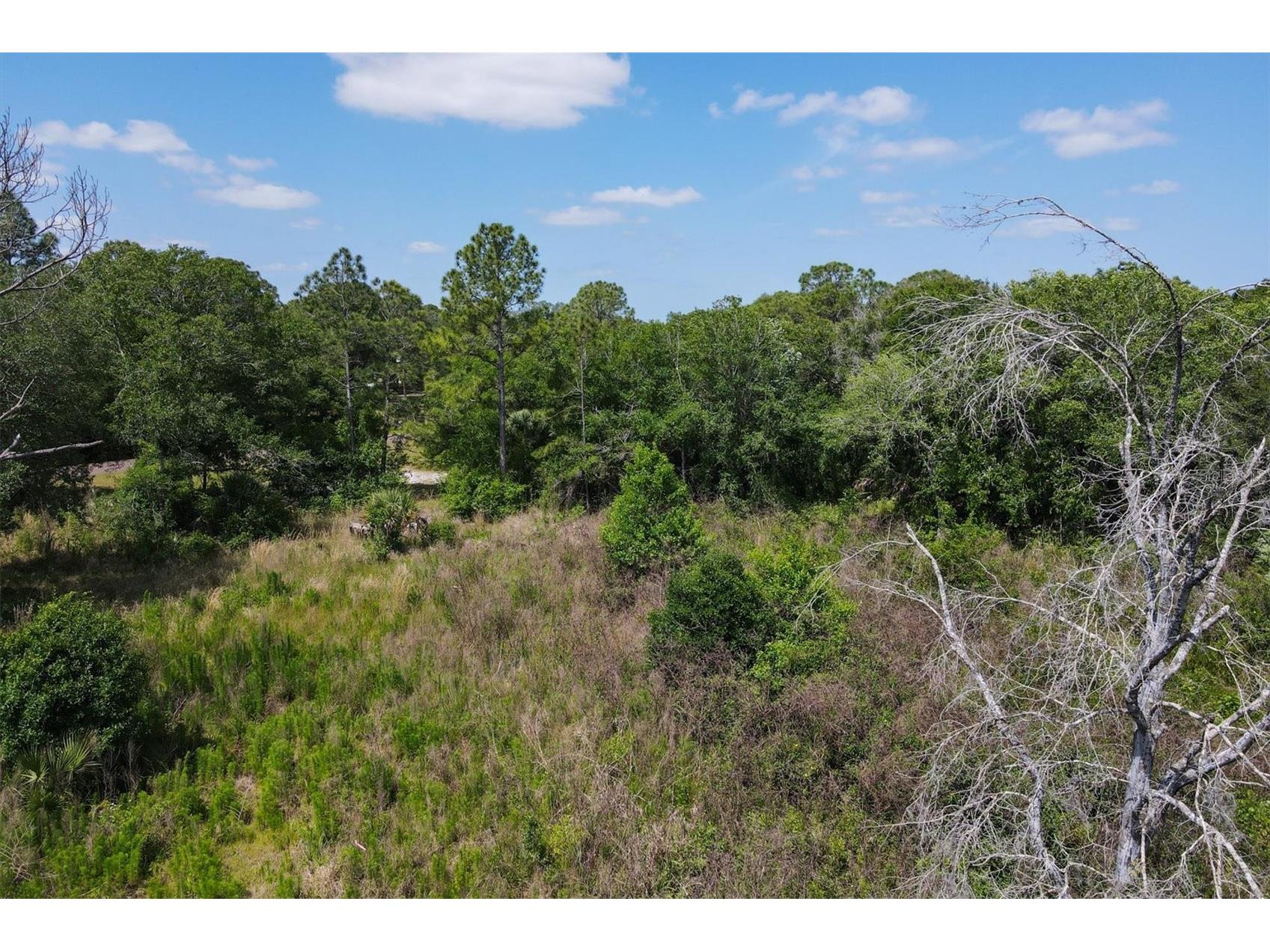 1729 Shenandoah Road Wimauma FL 33598 - LITTLE MANATEE RIVER A4691213 image21