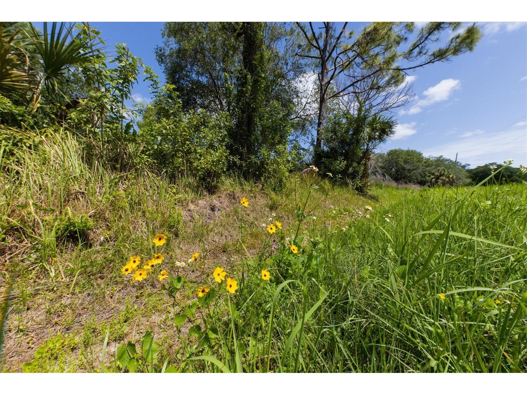 1729 Shenandoah Road Wimauma FL 33598 - LITTLE MANATEE RIVER A4691213 image22