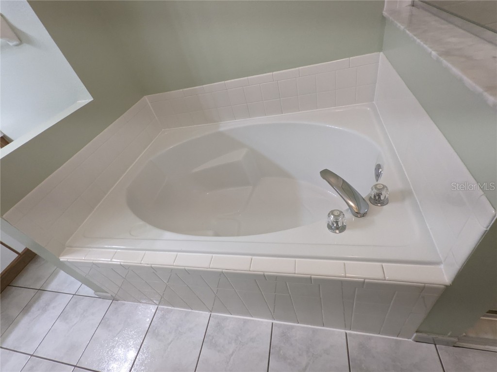 1729 Snaresbrook Way Orlando FL 32837 O6371321 image12