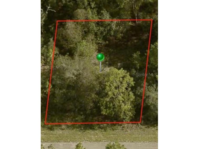 1729 W Pendleton Street Citrus Springs FL 34434 A4595516 image1