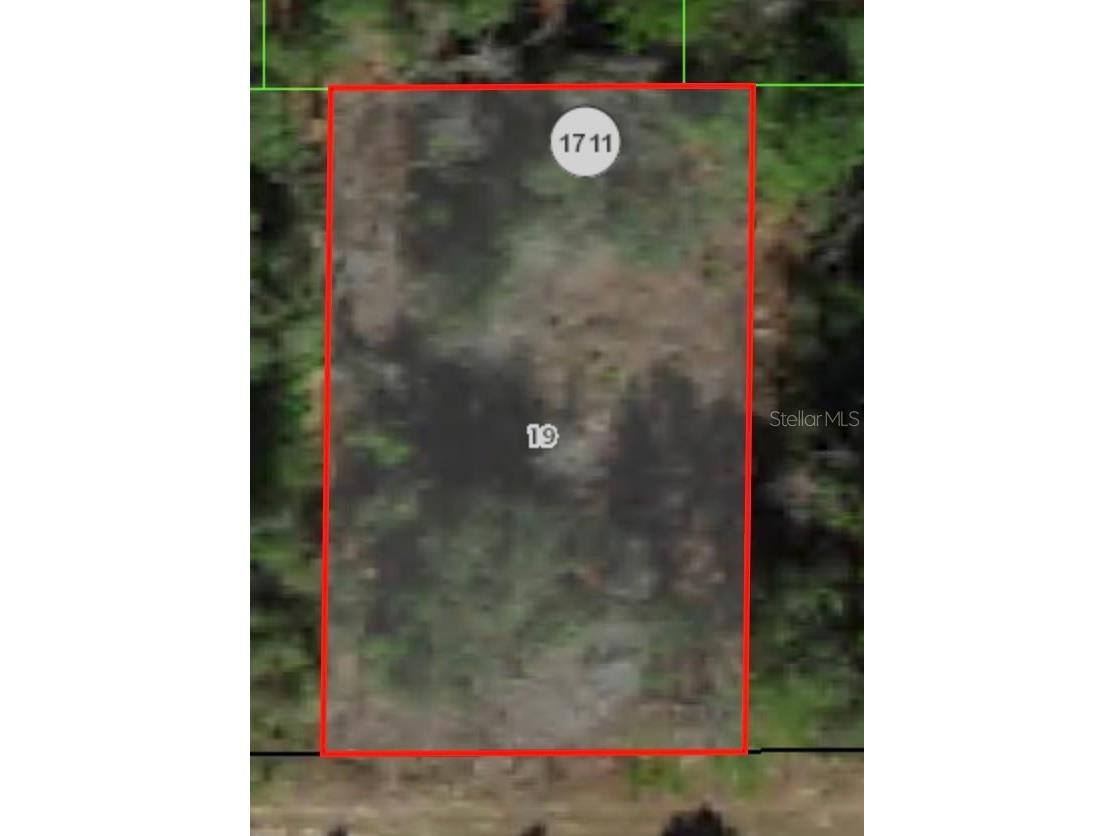 1729 W Pendleton Street Citrus Springs FL 34434 A4595516 image2