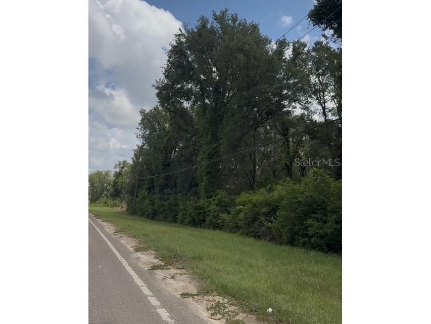 17297 Ponce De Leon Boulevard Brooksville FL 34614 TB8393341 image5