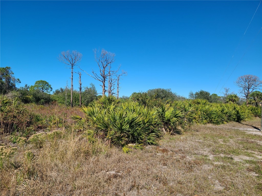 173 175 Brig Circle W Placida FL 33946 D6123436 image1