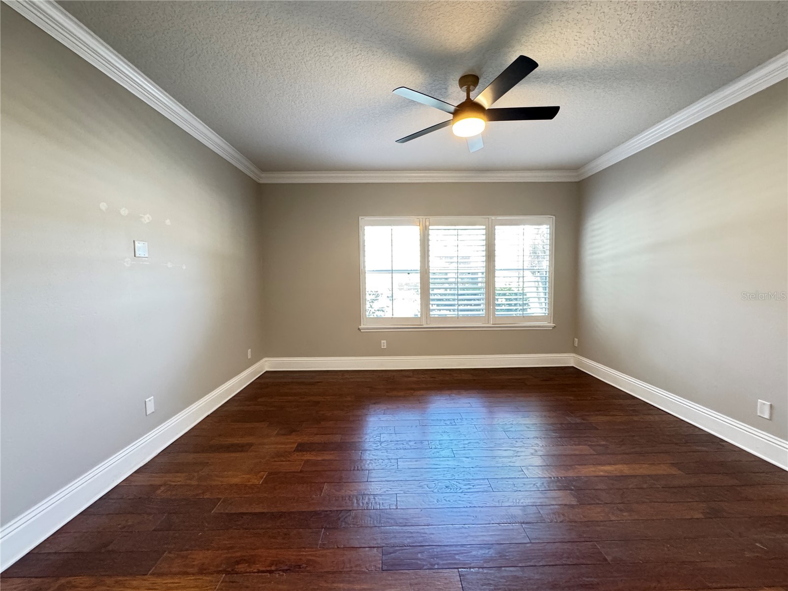 173 Calliope Street Ocoee FL 34761 O6413220 image17