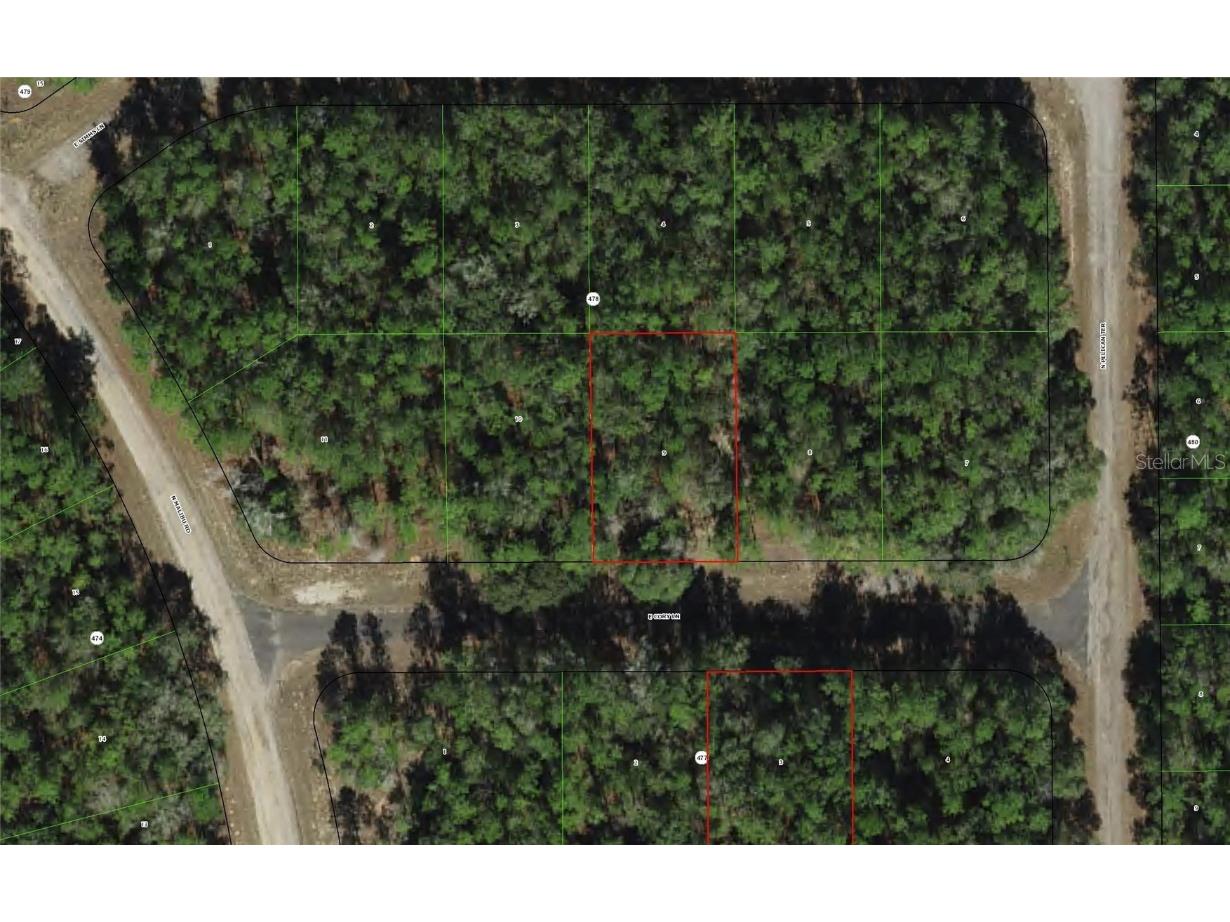 173 E Cory Lane Dunnellon FL 34434 T3530833 image1