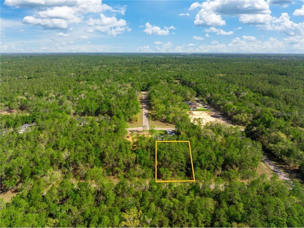 173 E Simms Lane Citrus Springs FL 34434 T3438579 image1