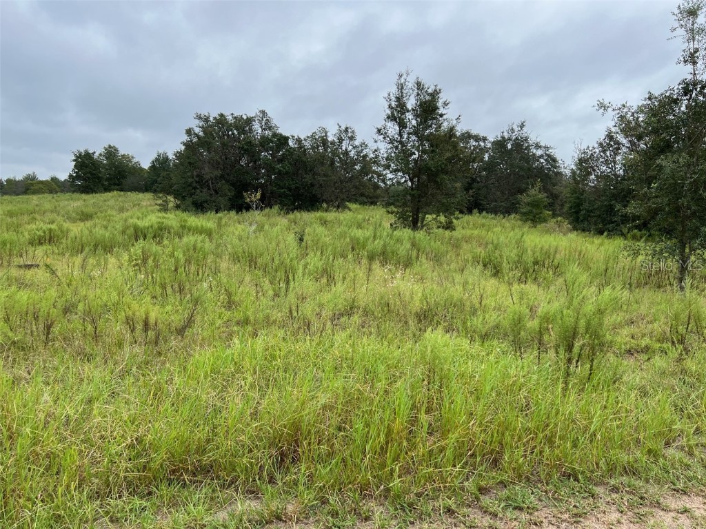 173 N Lavendale Terrace Inverness FL 34453 U8225699 image1