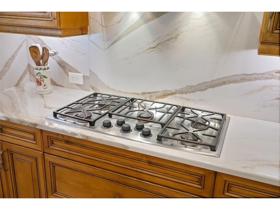 173 Portofino Drive North Venice FL 34275 A4668373 image29