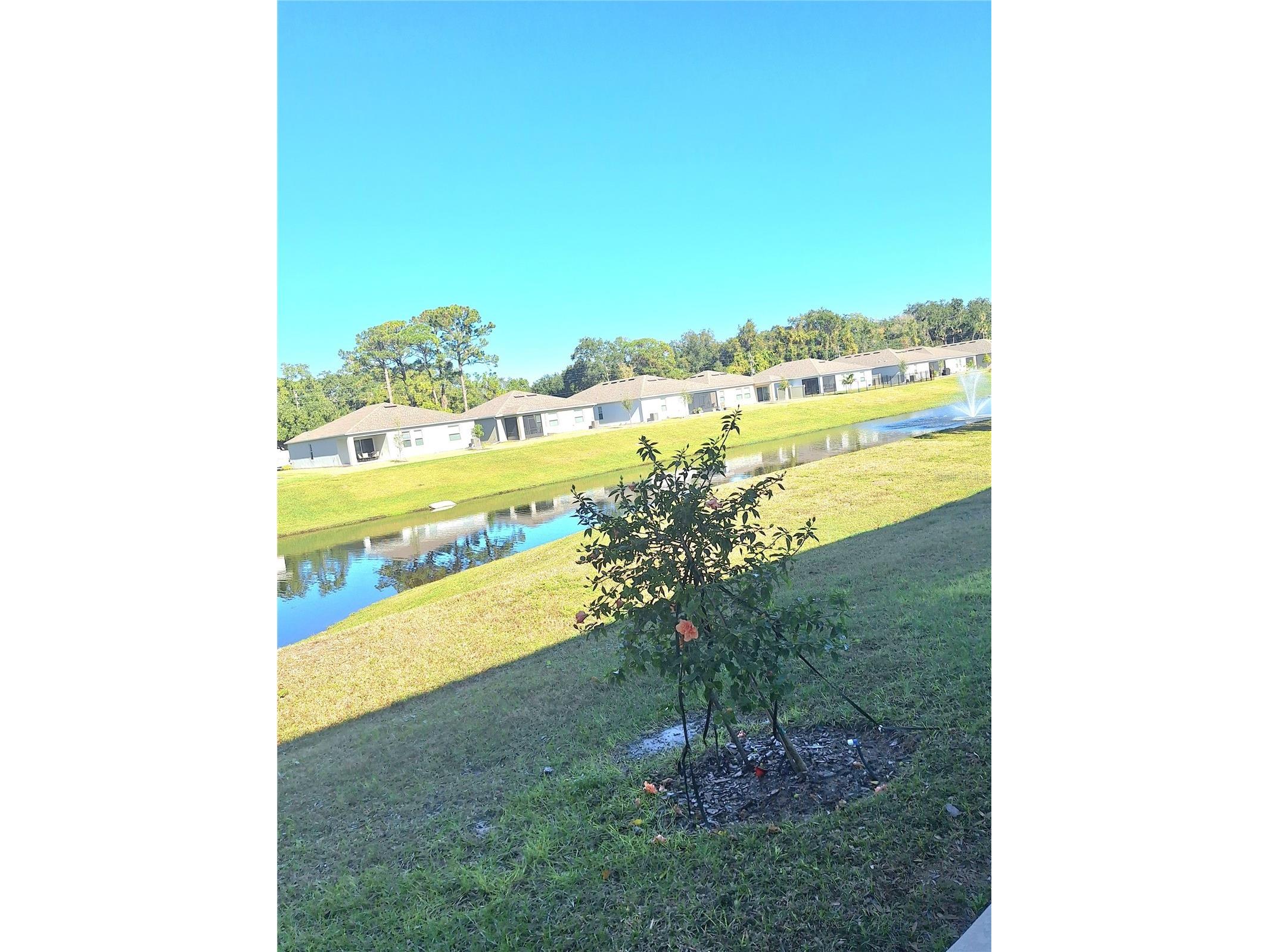173 River Front Way Edgewater FL 32141 - INDIAN RIVER O6421642 image27