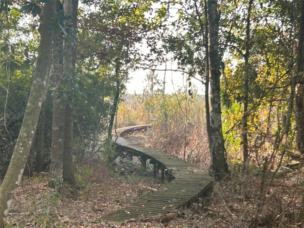 173 She She Road Hawthorne FL 32640 O6371486 image3