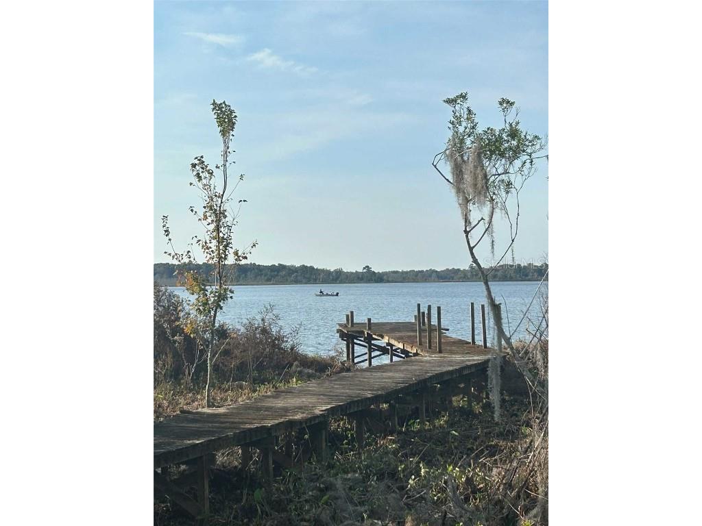 173 She She Road Hawthorne FL 32640 O6371486 image4