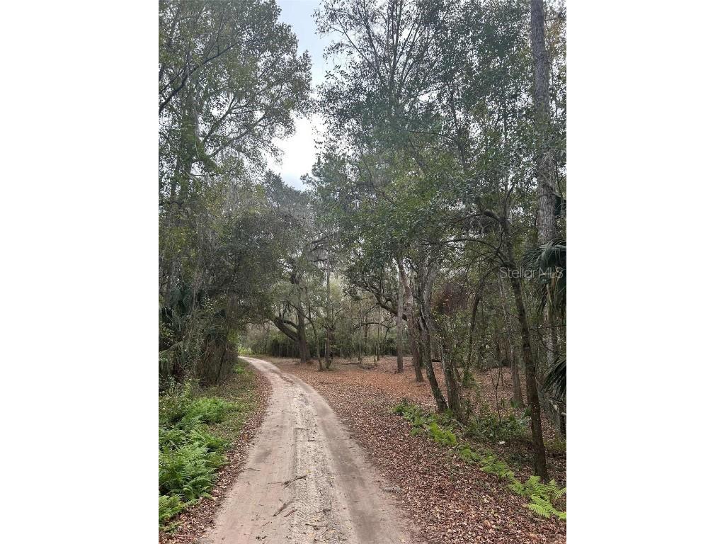 173 She She Road Hawthorne FL 32640 O6371486 image5