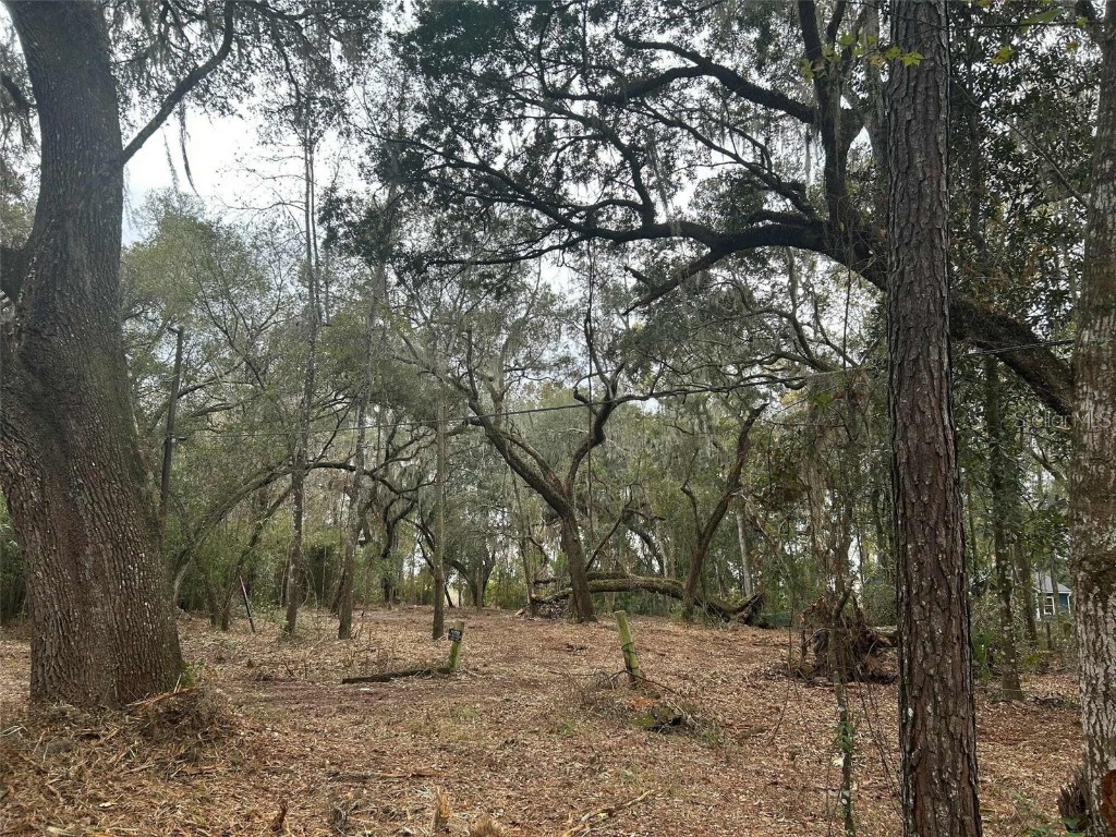 173 She She Road Hawthorne FL 32640 O6371486 image6