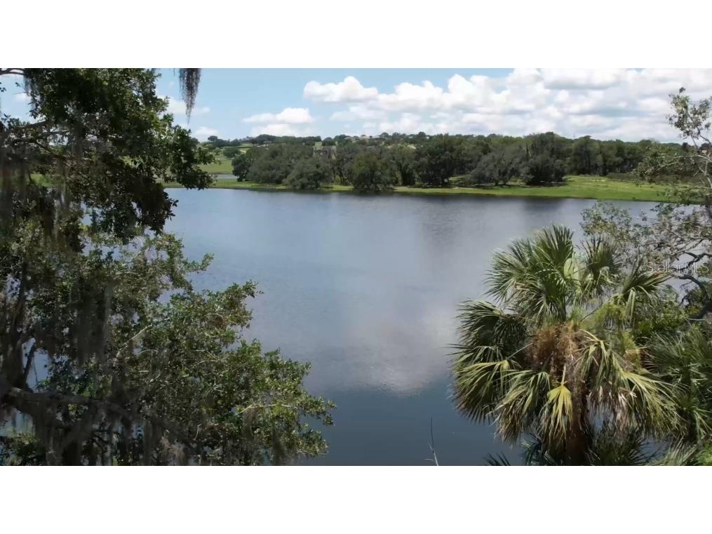 173 Tranquil Mirror Lake Court #LOT 6 Clermont FL 34711 - Mirror Lake O6391207 image7