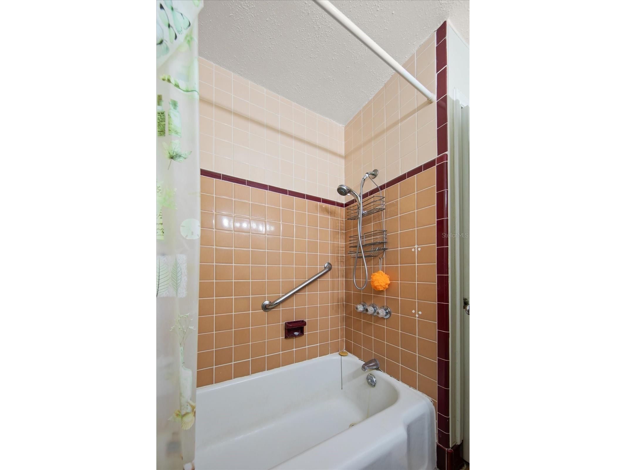 1730 50th Street N Saint Petersburg FL 33710 TB8516173 image19