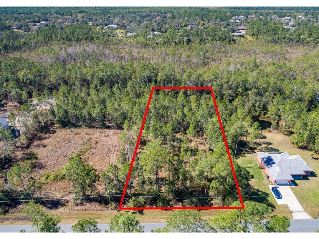 1730 Cassidy Drive Saint Cloud FL 34771 O6349482 image1