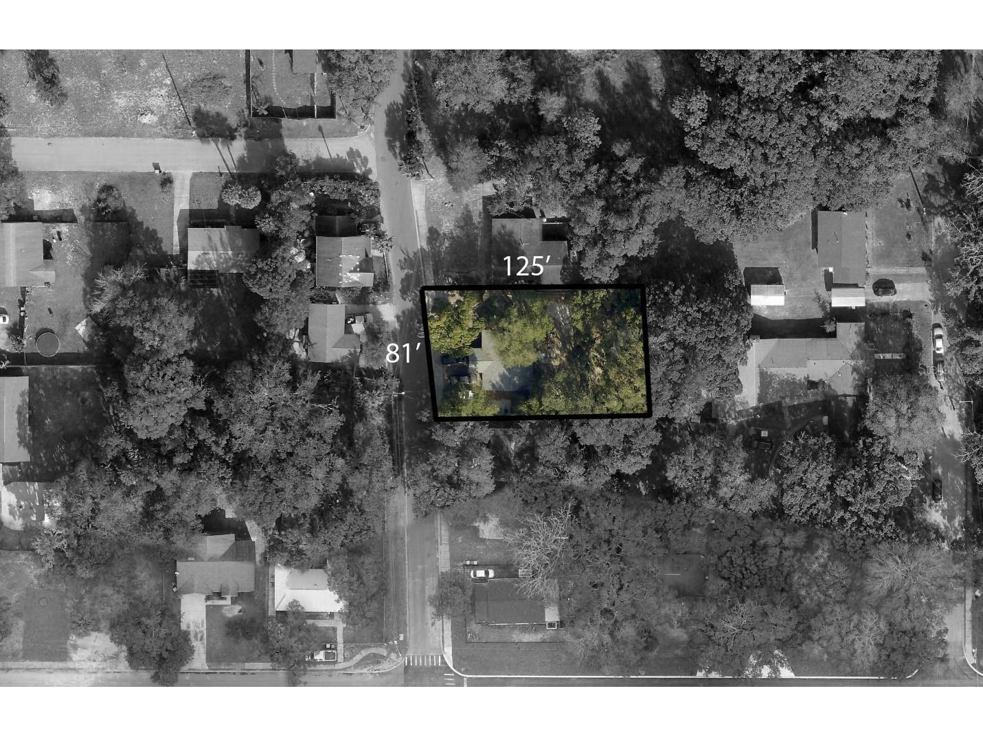 1730 N Orange Street Mount Dora FL 32757 O6378151 image20