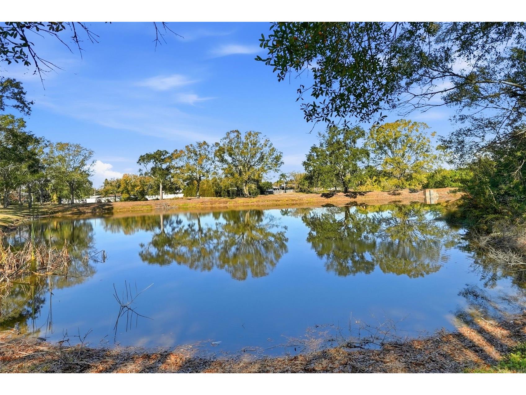 1730 Oak Pond Court Oldsmar FL 34677 TB8476142 image29