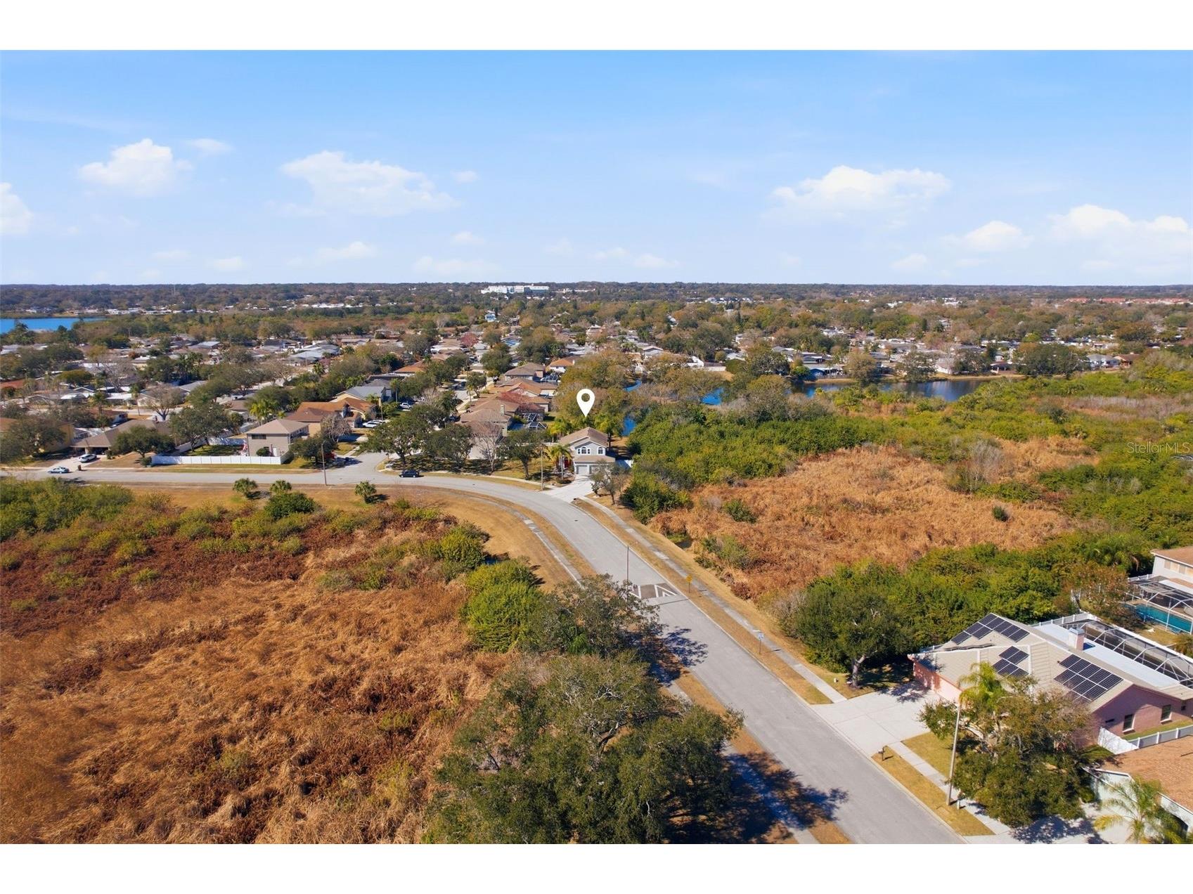 1730 Oak Pond Court Oldsmar FL 34677 TB8476142 image34