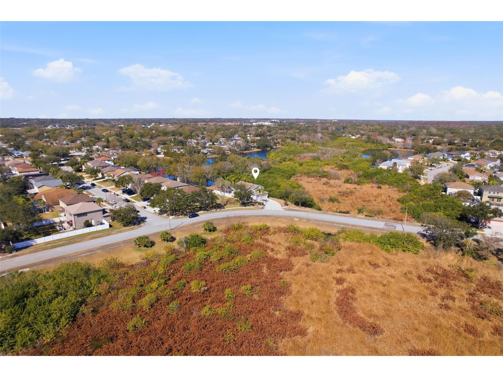 1730 Oak Pond Court Oldsmar FL 34677 TB8476142 image36