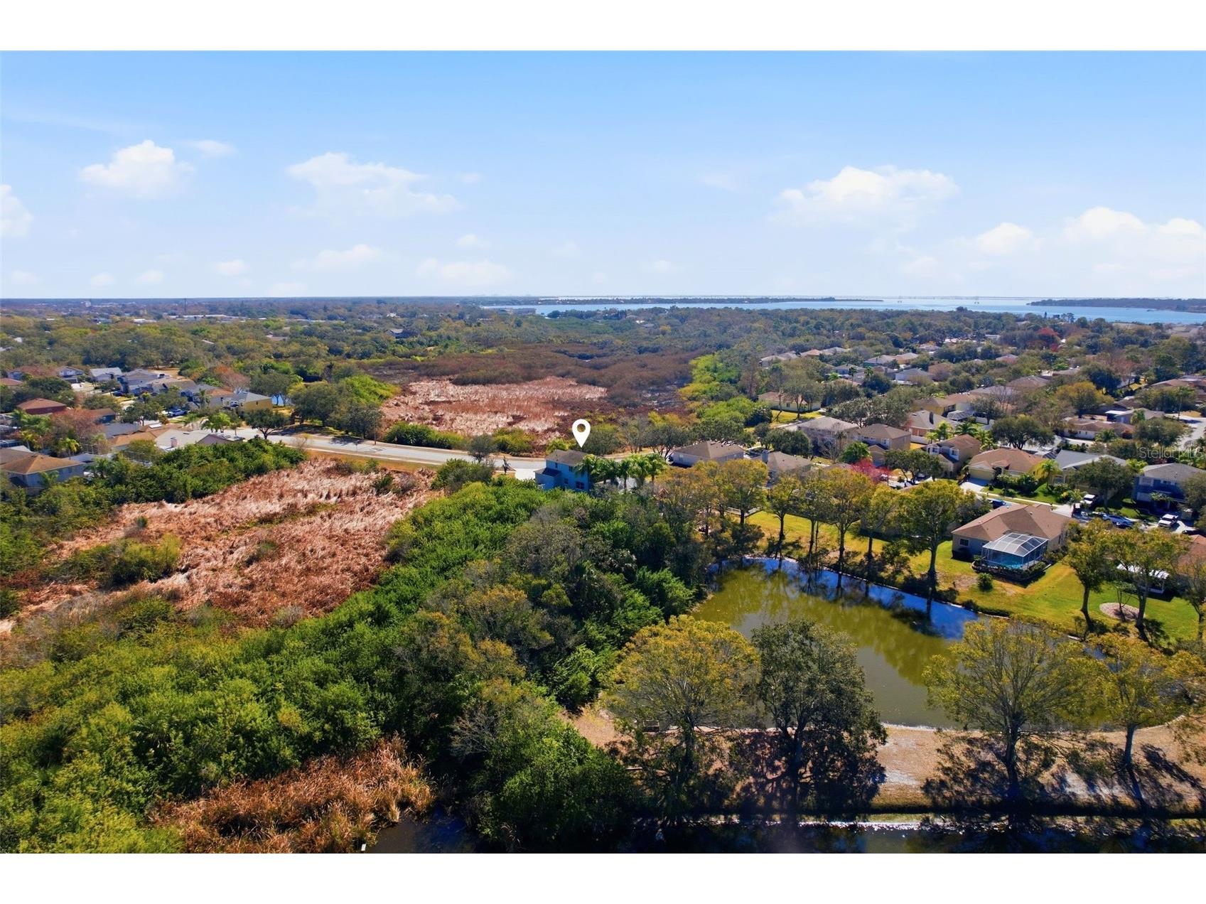 1730 Oak Pond Court Oldsmar FL 34677 TB8476142 image37