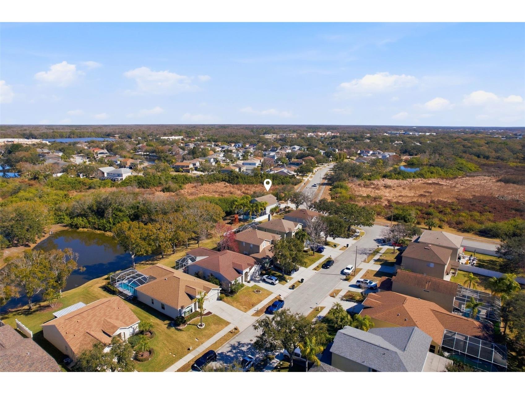 1730 Oak Pond Court Oldsmar FL 34677 TB8476142 image38