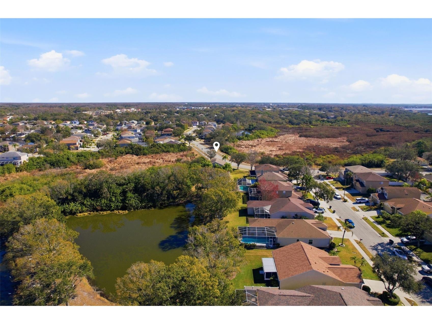 1730 Oak Pond Court Oldsmar FL 34677 TB8476142 image39